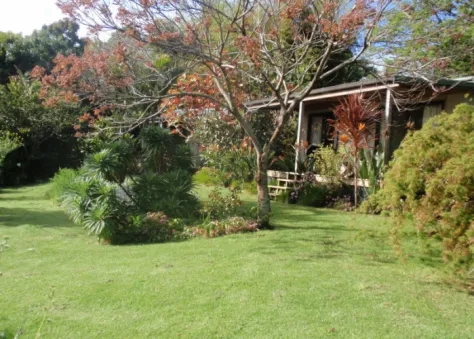 Wharepuke Motel Bay of Islands