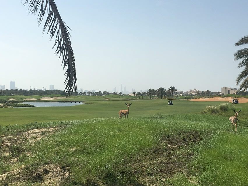 <h2>2018 Arabian Gulf Golf Cruise</h2>10 Nights | 5 Rounds | Dubai to Dubai | November 10 - 20