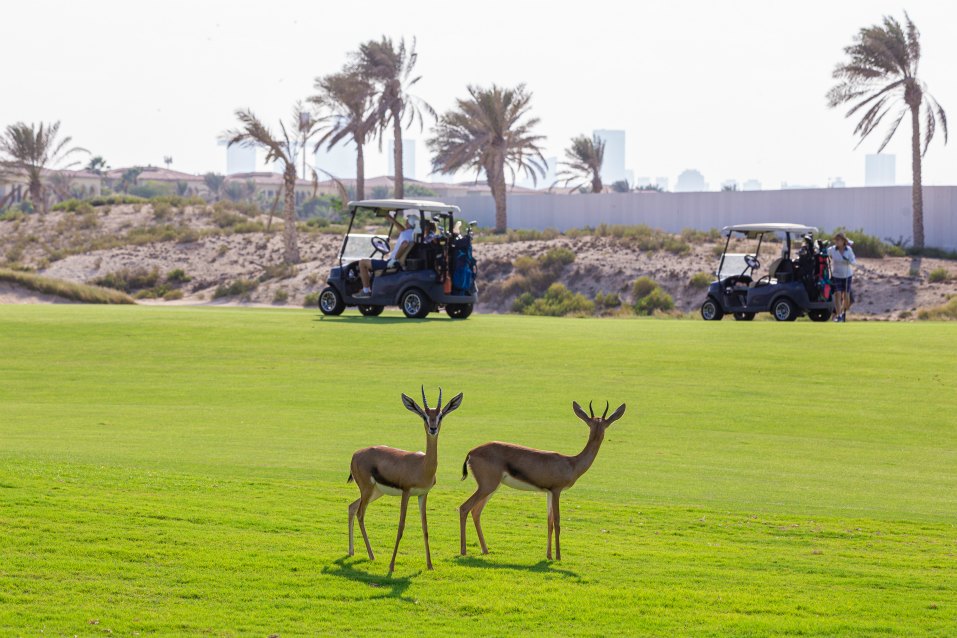 <h2>2022 Arabian Gulf Golf Cruise</h2>11 Nights | 5 Rounds | Dubai to Dubai | November 15 – 26
