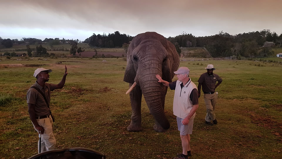 <h2>The Best of South Africa Escorted 2018</h2>Golf, Kruger Safari, Cape Town, the Winelands & Garden Route